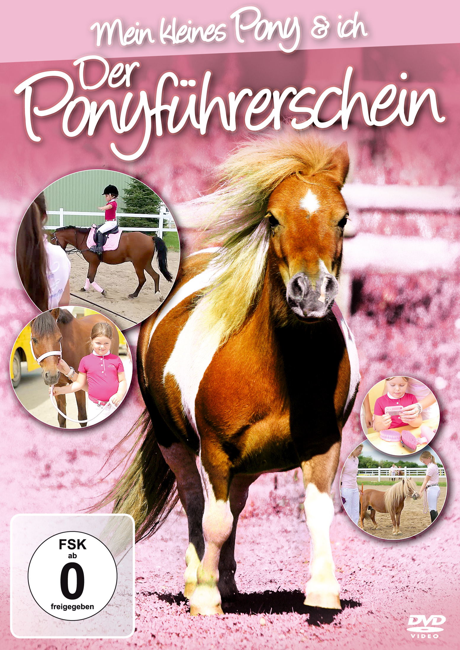 その他 Mein Ponyfuhrerschein [DVD] d2ldlup DVD Der Ponyführerschein Mein Kleines Pony und ich